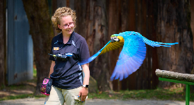 墨爾本Gumbuya World 保姆級避坑指南｜3大重點幫你省時間💰