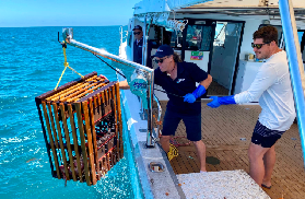 曼哲拉海鮮探險｜親捕龍蝦+現烤大餐！臺灣遊客實測分享🤩