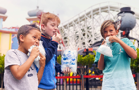 墨爾本月亮公園避坑總結｜玩完才懂的5個要點📝