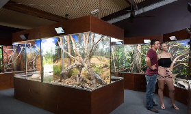 凱恩斯哈特利鱷魚樂園｜臺灣人實測！行程規劃+避坑指南不藏私🤩