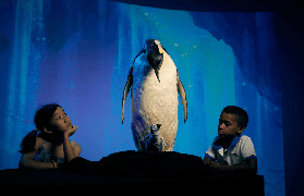 墨爾本博物館實玩！南半球最大博物館這些體驗超讚🔥