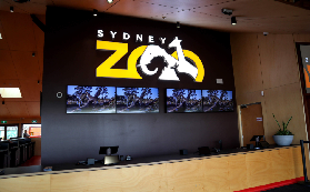 悉尼動物園實測｜0-2歲免費！家庭一日遊必看避坑指南✨