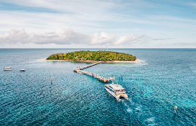 凱恩斯綠島一日遊實測｜浮潛見綠蠵龜+玻璃船！港澳遊客避坑指南✨