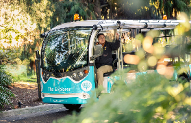 墨爾本皇家植物園之旅實測｜敞篷小巴遊+隱藏景點大公開✨
