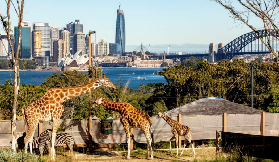 帶娃遊澳大利亞必去這幾個地方