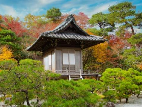 京都嵐山半日私人導覽避坑指南｜4小時玩轉5景點，導遊帶路不踩雷！