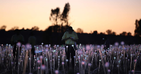 烏盧魯原野星光日出｜2個隱藏玩法+行程規劃全攻略🥰