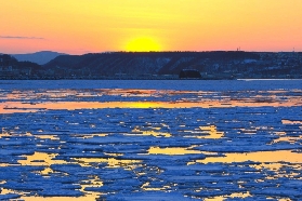 網走破冰船極光號攻略｜2小時深度探險vs1小時經典遊，生態驚喜超讚❄️