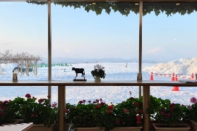 札幌洞爺湖一日遊｜遊玩後總結避坑建議｜3個必知要點⚠️