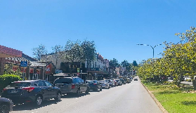 藍山x費瑟戴爾野生動物園一日遊｜實測韓語導覽超讚體驗！
