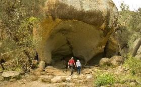 西澳一日遊必試！27億年波浪巖+約克野花+原住民文化｜實測超抵玩✨