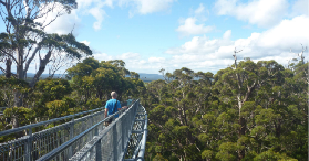 西澳4天全景遊實測｜預訂前必睇！避坑+亮點一覽✨