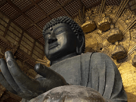 京都/大阪出發奈良半日遊｜實測避坑！大佛+鹿群+世界遺產一次滿足✨