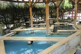 別府竈地獄實測｜90°C地熱奇觀+變色藍池！避坑攻略收好✨