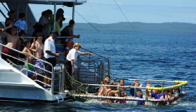 澳洲傑維斯灣新玩法｜Boom Netting Cruise 零門檻濕身狂歡！避坑實測✨
