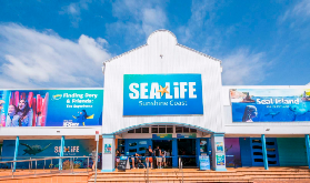 陽光海岸SEA LIFE水族館｜親子遊必搶！搶票+體驗全攻略✨