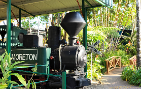 陽光海岸薑餅人工廠樂園｜預訂避坑+必玩體驗！超抵套票睇呢度✨