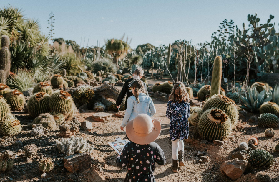 墨爾本隱藏沙漠綠洲！Cactus Country實測｜避坑+拍照亮點一次抓✨