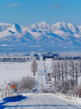 北海道冬季自由行攻略｜9大必去景點！