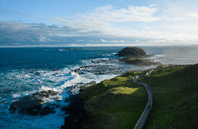 菲利普島3園通票攻略｜人生清單企鵝歸巢+無尾熊樹頂步道｜親子/自由行必看