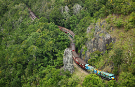 凱恩斯雨林3合1體驗實測｜鴨車/火車/纜車全攻略｜避坑看這篇✨
