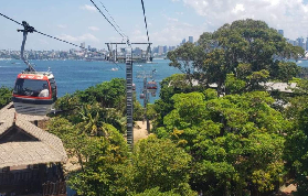 悉尼塔龍加動物園渡輪套票｜遊玩後必看避坑總結📝