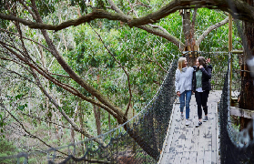 墨爾本必去魔法樂園｜莫寧頓半島Enchanted Adventure 實測避坑！超抵玩✨