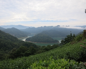 臺北茶旅必睇！預訂前3個隱藏貼士｜貓空纜車+坪林茶莊一日遊