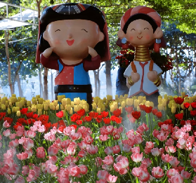 清邁跨冬限定！PAO Park 免費巨型花海 + 夢幻燈光秀，開到春節不打烊🎟️