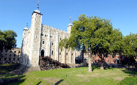 倫敦必玩一日遊｜聖保羅+倫敦塔+遊船！隱藏拍照點大公開📸