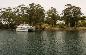 塔斯馬尼亞亞瑟港｜實測2日深度遊！避坑+預訂全攻略✨