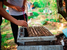 富國島北部一日遊｜臺灣人實測！隱藏亮點+必知懶人包💡