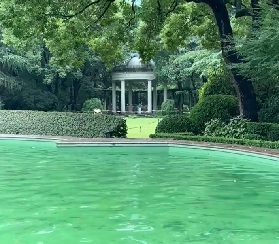 上海免費拍照天花板！12個0元寶地速藏