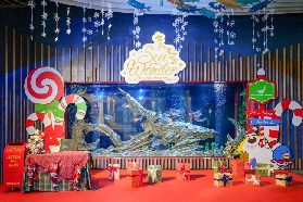 河內樂天水族館實測！3個隱藏亮點玩到不想走🤩