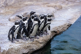 河內樂天世界水族館避坑指南！5個必註意細節💡