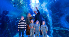 伯明翰SEA LIFE實測｜零踩雷攻略！鯊魚從頭頂遊過太震撼✨