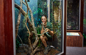 凱恩斯考拉生物門票實測｜3個必知預訂坑+隱藏體驗！✨