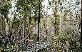 【塔胡恩探險樂園攻略】保姆級行程規劃！5個隱藏小技巧別錯過🤩