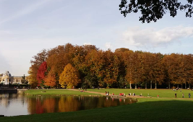 布魯塞爾必去！非洲皇家博物館實測｜免費兒童門票+隱藏體驗✨