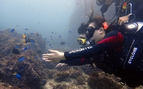 「臺北1小時直達」免執照潛水初體驗！龍洞地中海秘境實測✨