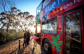 藍山巴士通票怎麼選？港澳遊客實測3種方案超抵價✨