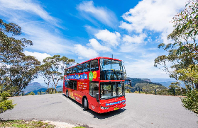 藍山巴士通票避坑指南｜3大常見問題實測總結