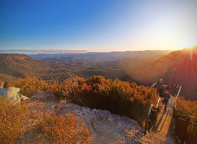 悉尼藍山一日遊避坑指南｜晚出發小團真實體驗總結📝