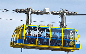 藍山動物園一日遊｜4個隱藏亮點+避坑指南！臺灣人實測超讚✨