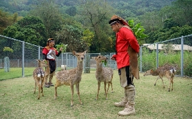 嘉義逐鹿部落門票｜預訂前必睇！避坑+選品全攻略✨