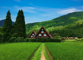 白川鄉&飛驒高山一日遊｜3個避坑建議+總結心得分享