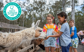 布裏斯班親子農場實測｜放下3C的萌寵體驗，這5點必看避坑✨