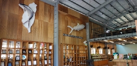 臺南隱藏版！虱目魚丸DIY實測｜親子友好免門票超讚✨