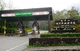 宜蘭太平山實測｜門票優惠+隱藏亮點+交通管制避坑全攻略✨