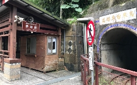 烏來臺車實測｜必看避坑指南！親子/情侶都愛の山林小火車✨